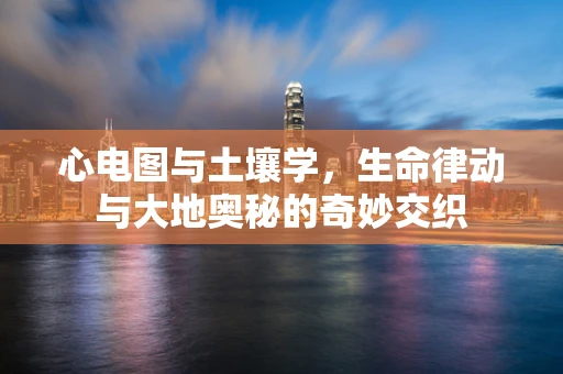 心电图与土壤学，生命律动与大地奥秘的奇妙交织