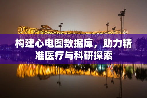 构建心电图数据库，助力精准医疗与科研探索