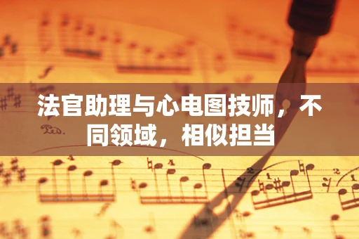 法官助理与心电图技师，不同领域，相似担当