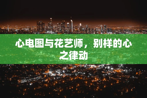 心电图与花艺师，别样的心之律动