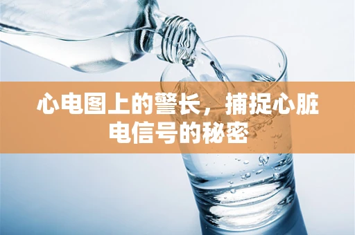 心电图上的警长，捕捉心脏电信号的秘密