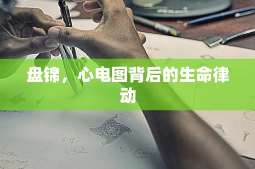 盘锦，心电图背后的生命律动