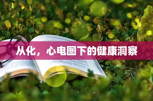 从化，心电图下的健康洞察