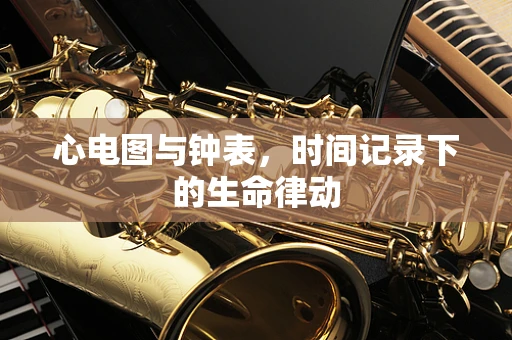 心电图与钟表，时间记录下的生命律动