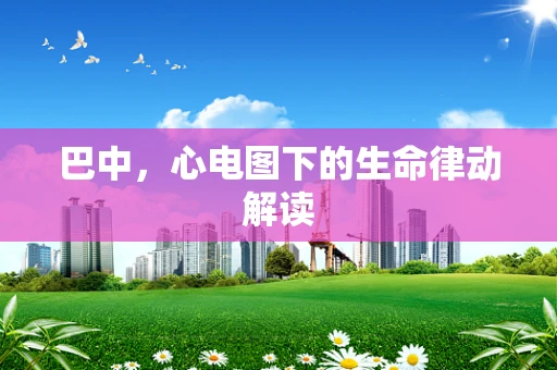 巴中，心电图下的生命律动解读