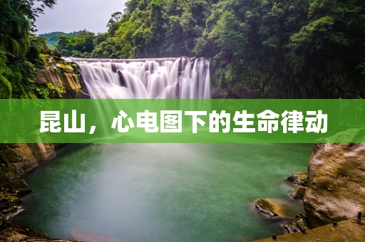 昆山，心电图下的生命律动