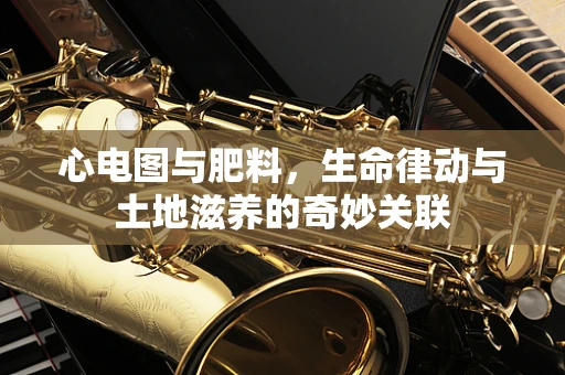 心电图与肥料，生命律动与土地滋养的奇妙关联