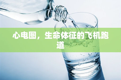 心电图，生命体征的飞机跑道