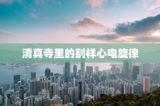清真寺里的别样心电旋律