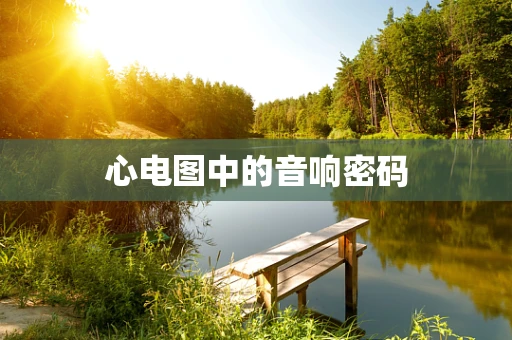 心电图中的音响密码