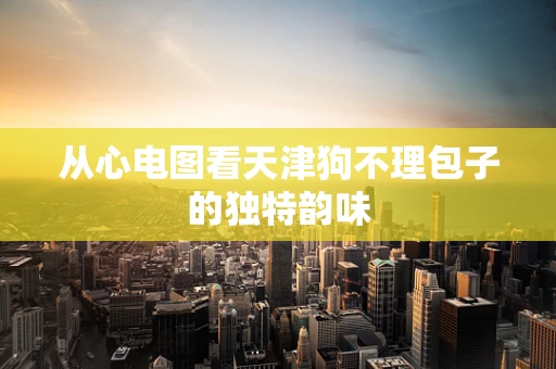 从心电图看天津狗不理包子的独特韵味