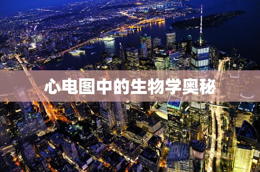 心电图中的生物学奥秘