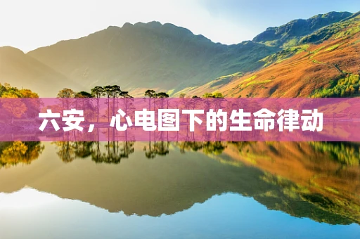 六安，心电图下的生命律动