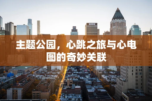 主题公园，心跳之旅与心电图的奇妙关联