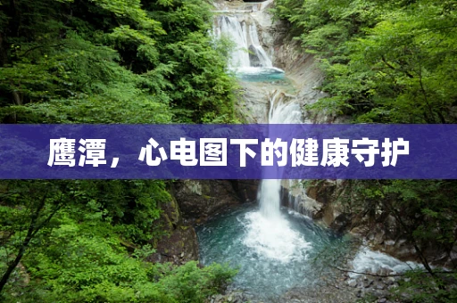 鹰潭，心电图下的健康守护