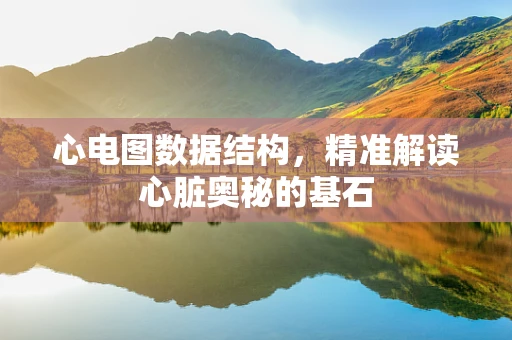 心电图数据结构，精准解读心脏奥秘的基石