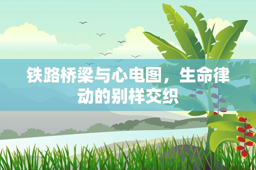 铁路桥梁与心电图，生命律动的别样交织