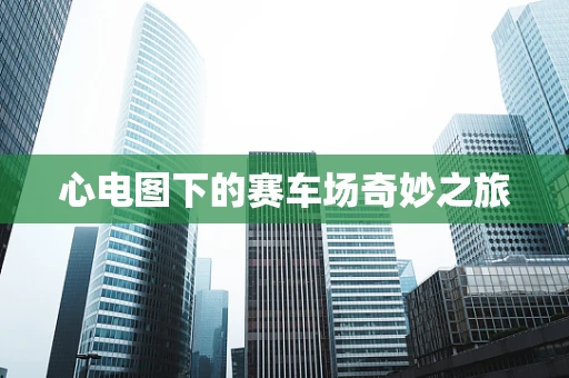 心电图下的赛车场奇妙之旅