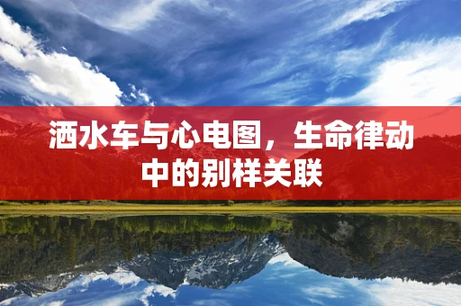 洒水车与心电图，生命律动中的别样关联