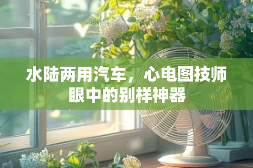 水陆两用汽车，心电图技师眼中的别样神器