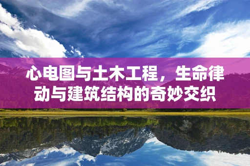 心电图与土木工程，生命律动与建筑结构的奇妙交织