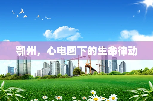 鄂州，心电图下的生命律动
