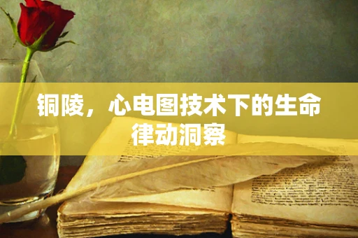 铜陵，心电图技术下的生命律动洞察