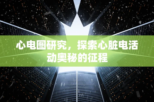 心电图研究，探索心脏电活动奥秘的征程