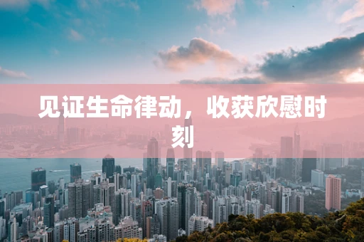 见证生命律动，收获欣慰时刻
