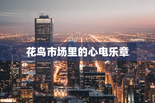 花鸟市场里的心电乐章