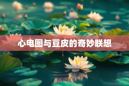 心电图与豆皮的奇妙联想