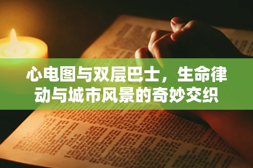 心电图与双层巴士，生命律动与城市风景的奇妙交织