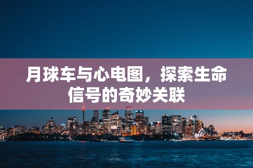 月球车与心电图，探索生命信号的奇妙关联