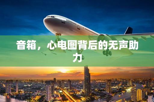 音箱，心电图背后的无声助力