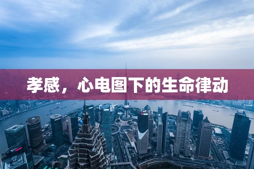 孝感，心电图下的生命律动