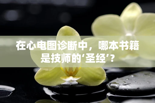在心电图诊断中，哪本书籍是技师的‘圣经’？