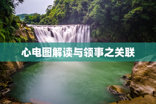 心电图解读与领事之关联