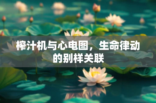 榨汁机与心电图，生命律动的别样关联