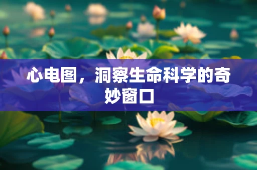 心电图，洞察生命科学的奇妙窗口