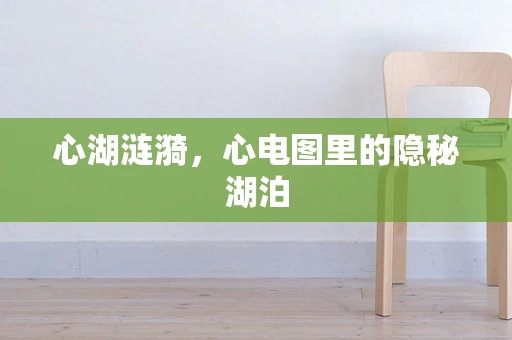 心湖涟漪，心电图里的隐秘湖泊