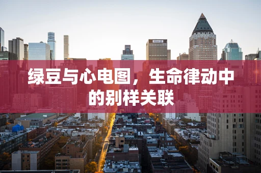 绿豆与心电图，生命律动中的别样关联