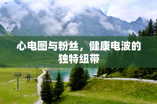 心电图与粉丝，健康电波的独特纽带