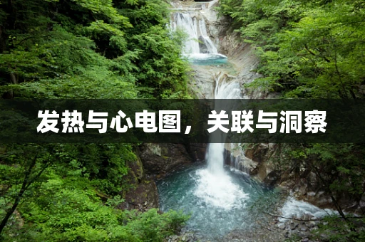 发热与心电图，关联与洞察