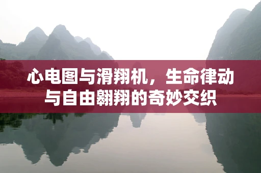 心电图与滑翔机，生命律动与自由翱翔的奇妙交织