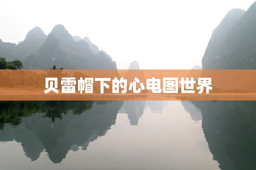 贝雷帽下的心电图世界