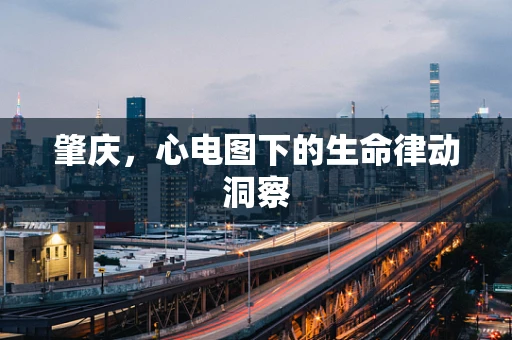 肇庆，心电图下的生命律动洞察