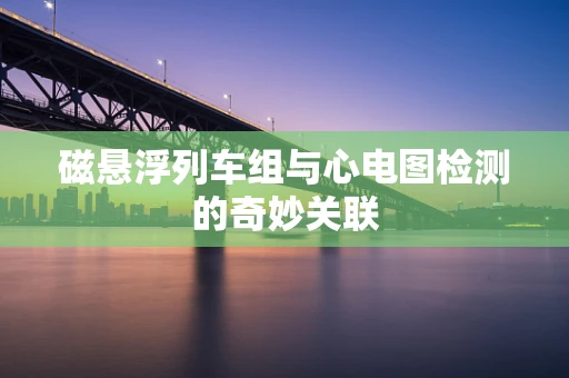 磁悬浮列车组与心电图检测的奇妙关联