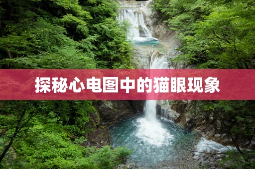探秘心电图中的猫眼现象