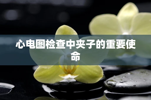 心电图检查中夹子的重要使命
