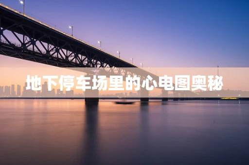 地下停车场里的心电图奥秘